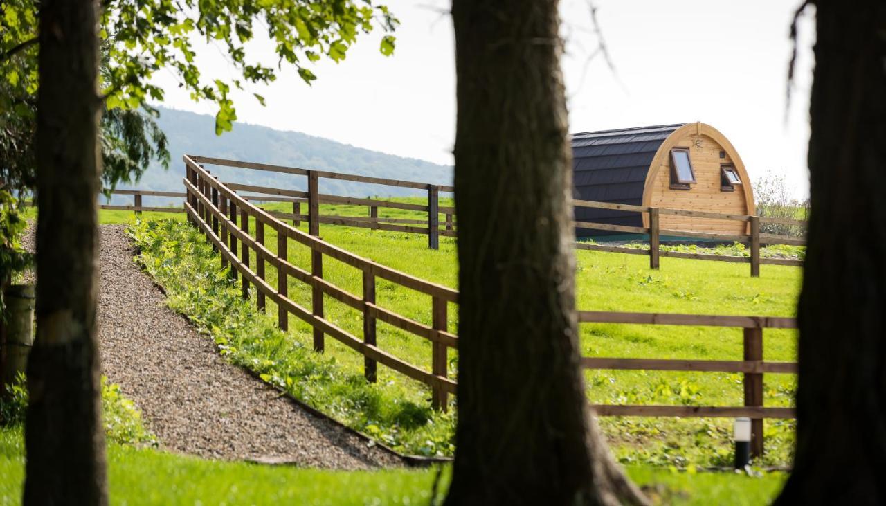 Luxury Two-Bed Glamping Pod In County Clare 2 Kilbane Exterior photo