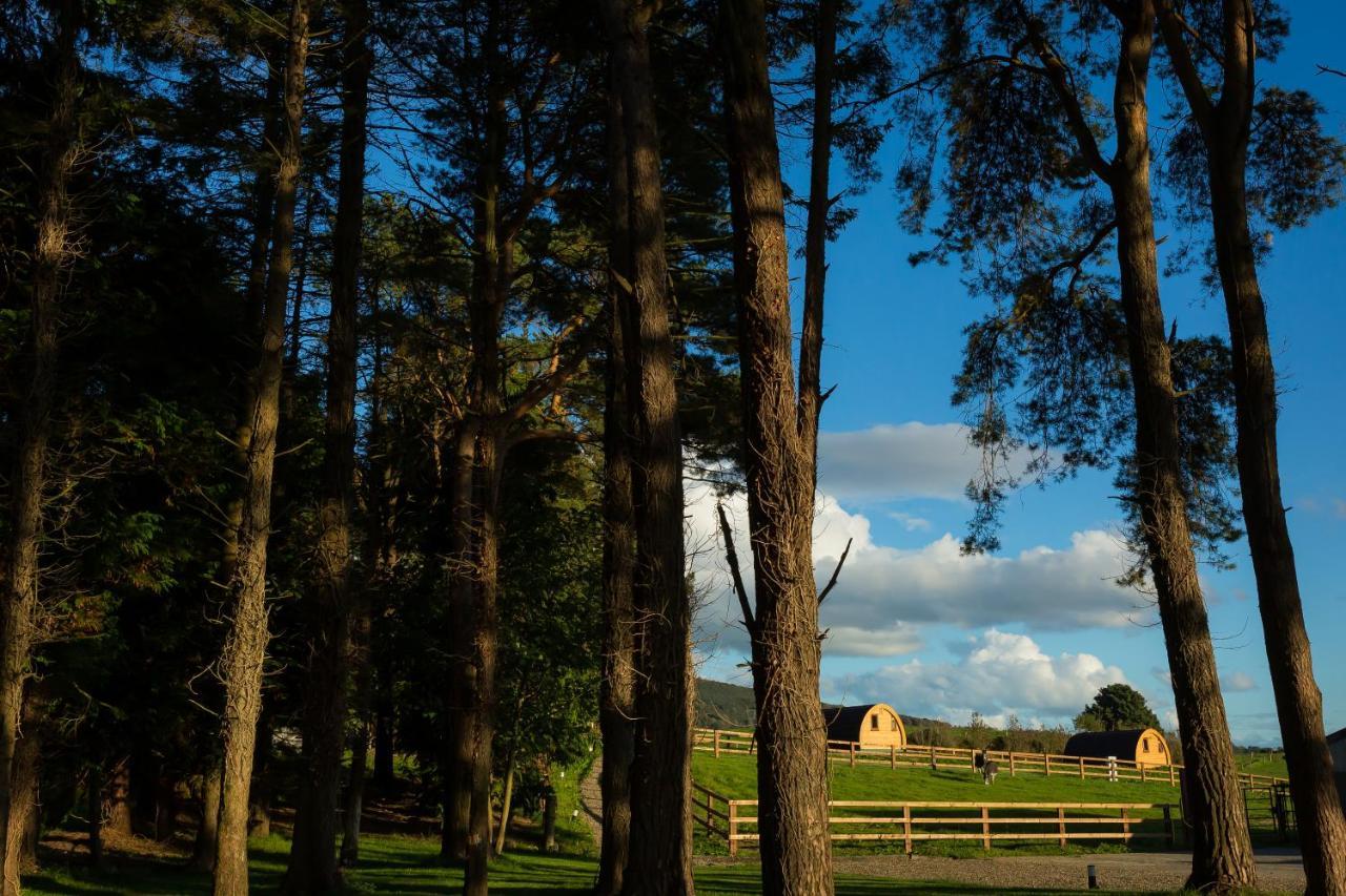 Luxury Two-Bed Glamping Pod In County Clare 2 Kilbane Exterior photo